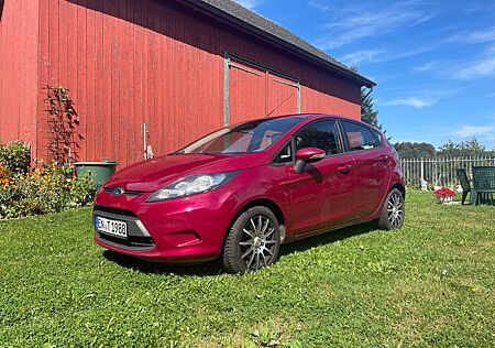 Ford Fiesta (TÜV neu, gepflegt)