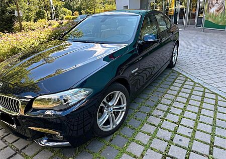 BMW 530d xDrive Limousine, M-Sportpaket, F10