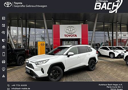 Toyota RAV 4 RAV4 Hybrid 4x4 Team Deutschland, TECHNIK-P, AHK