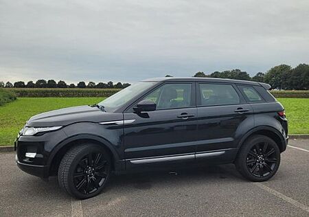 Land Rover Range Rover Evoque 2.2 TD4 Service & HU neu