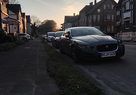 Jaguar XE 20d AWD British Design Edition Automatik ...
