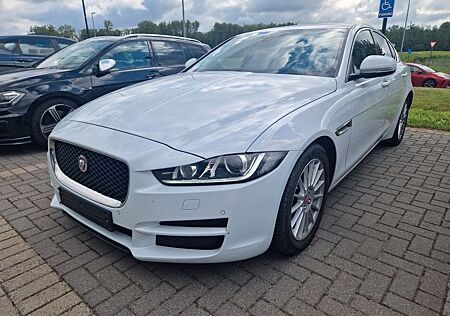 Jaguar XE LEDER NAVI BI-XENON
