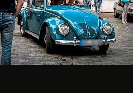 VW Käfer Volkswagen