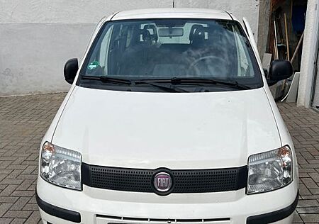 Fiat Panda gebraucht kaufen Fiat Panda