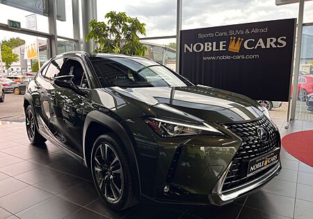 Lexus UX 250 h Style Edition RFK Full Link LED AHK