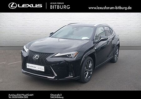 Lexus UX gebraucht kaufen Lexus UX 300h F-Sport /4x4/SpurH/LED/KlimaA/AkustikGla