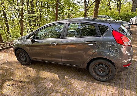 Ford Fiesta 1,0 EcoBoost SYNC Edition, Winterpaket