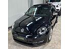 VW Beetle Volkswagen Fender Edition, Xenon, LED, Panorama