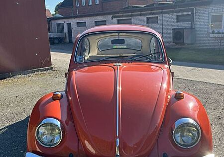 VW Käfer Volkswagen