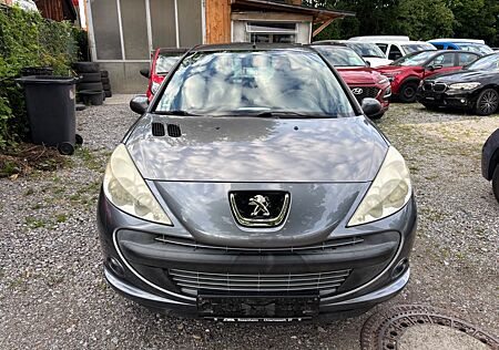 Peugeot 206 + Basis
