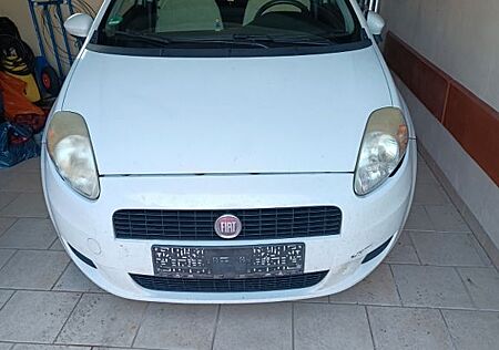 Fiat Punto EVO werkseits Zweisitzer großer Laderaum