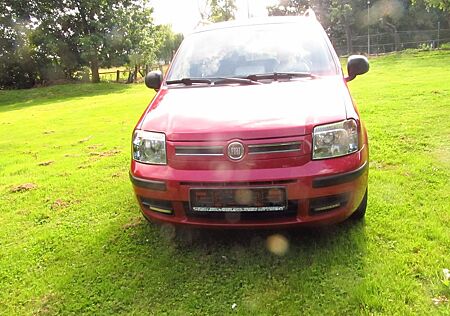 Fiat Panda Mit Klima