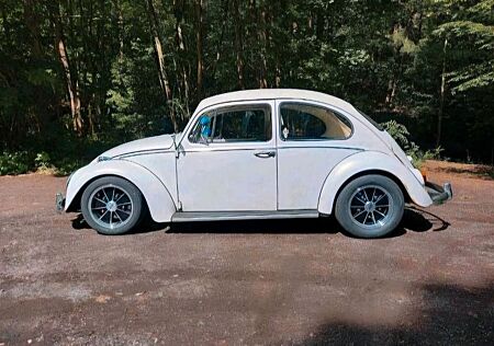 VW Käfer Volkswagen