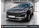 Ford Kuga PHEV Cool & Connect PDC vo. + hi WINTERPAKE