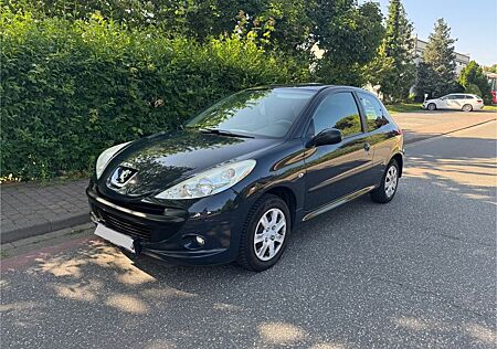 Peugeot 206 Plus TÜV 8-Fach bereift