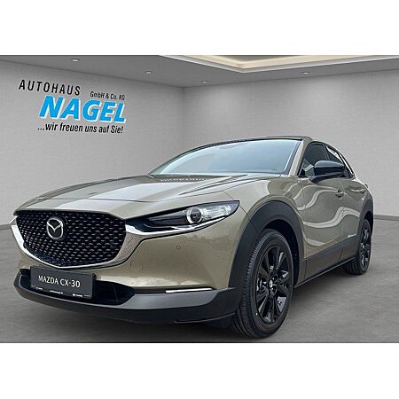 Mazda CX-30 leasen