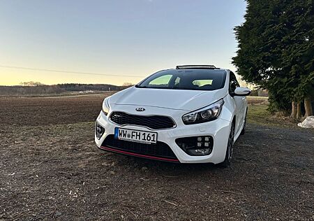Kia Pro_ceed pro_cee'd / ProCeed 1.6 T-GDI GT-Challenge p...