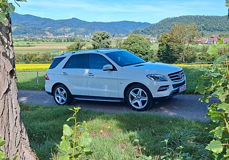 Mercedes-Benz ML 350 gebraucht kaufen Mercedes-Benz ML 350 CDI BlueTec 1.Hand Vollaustattung AHK!!!