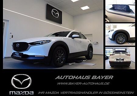 Mazda CX-30 SKY-G 2.0 /Klima/Navi/Head-Up/WR/8-fach/