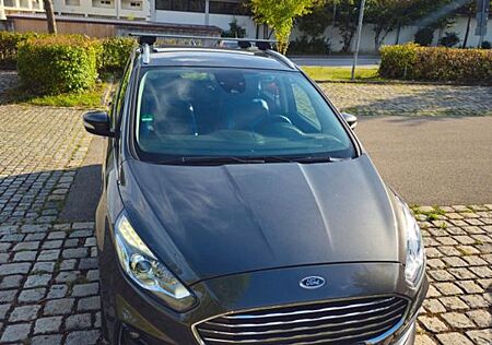 Ford S-Max 2,0 EcoBlue 2020 | TÜV NEU |