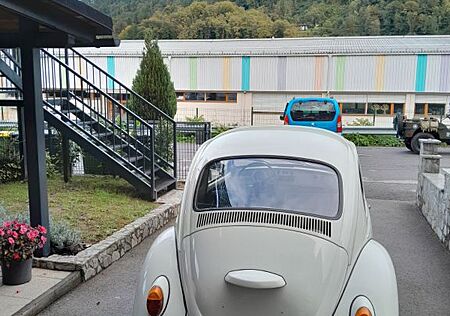 VW Käfer Volkswagen