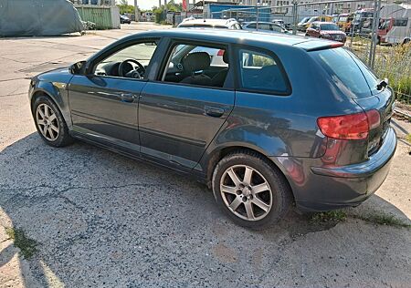Audi A3 2.0 TDI Sportback Bose 8x Alufelgen Export
