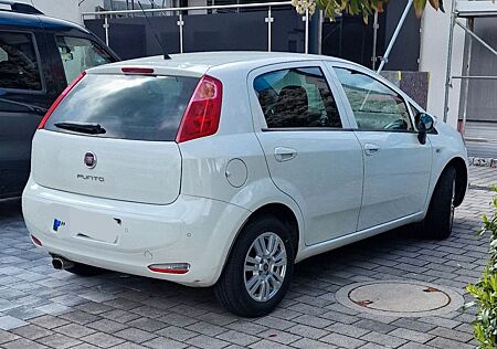 Fiat Punto 1.2 8V LOUNGE LOUNGE