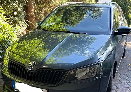 Skoda Fabia 1.2l TSI 66kW Active Combi Active