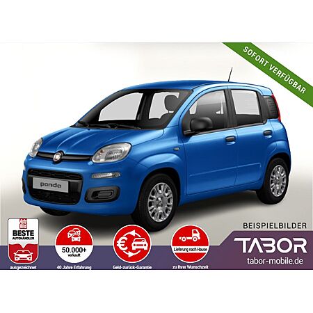 Fiat Panda leasen