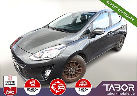 Ford Fiesta 1.0 EcoBoost 100 Vignale SHZ Temp Klima