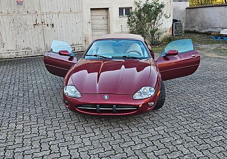 Jaguar XK8 Cabriolet -