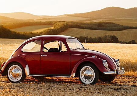 VW Käfer Volkswagen 1967 Volkswagen - Time Capsule