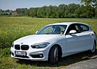 BMW 116i Advantage Navi Prof. PDC 8-fach bereift