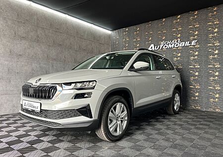Skoda Karoq Selection NEU *DSG Park-Paket Winter-Paket