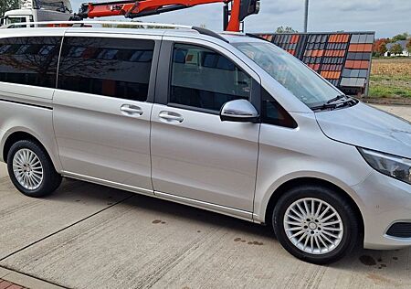 Mercedes-Benz V 250 gebraucht kaufen Mercedes-Benz V 250 d 4MATIC AVANTGARDE EDITION lang AVANT...