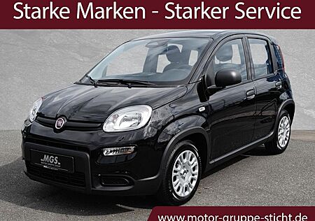 Fiat Panda Hybrid #DAB #PDC #KLIMA #BT