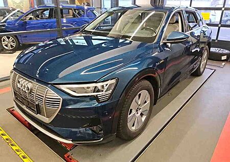Audi e-tron 55 quattro advanced+MATRIX+ACC+PANO+DAB+