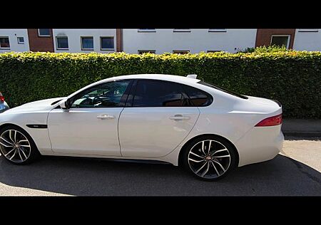 Jaguar XF 20d 180PS R-Sport Automatik R-Sport