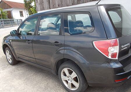 Subaru Forester Active