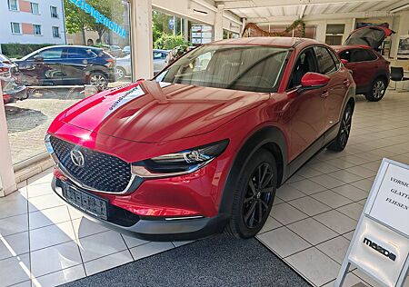 Mazda CX-30 ActivePlus + DesignPaket