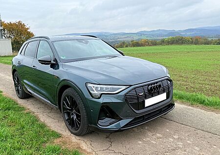 Audi e-tron 55 quattro S line 21" + Winterreif.