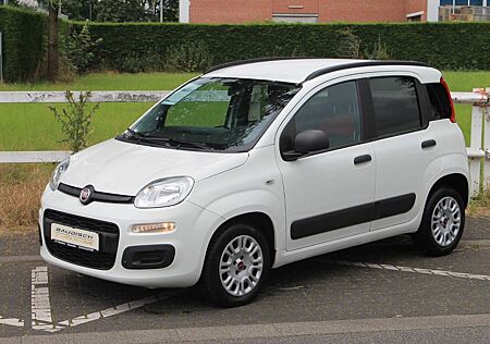 Fiat Panda Easy*Top Zustand*TÜV NEU*Garantie*