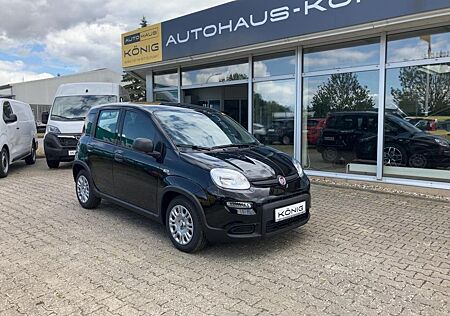 Fiat Panda MY24 1.0 Klima PDC Citypaket