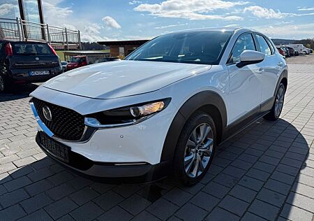 Mazda CX-30 HEADUP 18" KAMERA LED BEH SITZ LENKRAD AHK