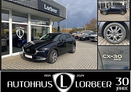 Mazda CX-30 M-HYBRID X 186PS SELECTION DES-P PRE-P NAV