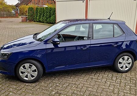 Skoda Fabia 1.2l TSI 66kW Cool Edition (Erbfall)