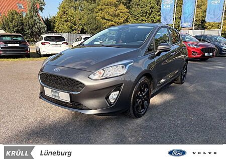 Ford Fiesta 1.0 Cool & Connect Winterpaket AppLink DA