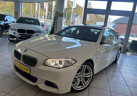 BMW 525 d Lim. M Sport Paket *Digitaltacho*Softc*