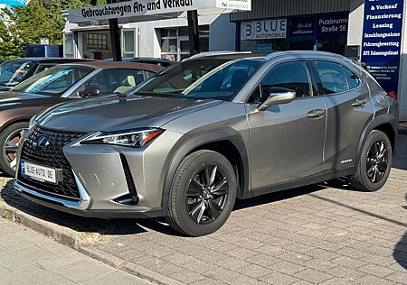 Lexus UX 250 h Launch Edition LED*AHK*NAVI*R-CAM*