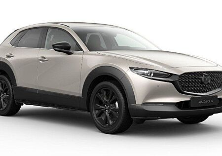 Mazda CX-30 2.5L e-SKYACTIV G 140ps 6MT FWD Nagisa